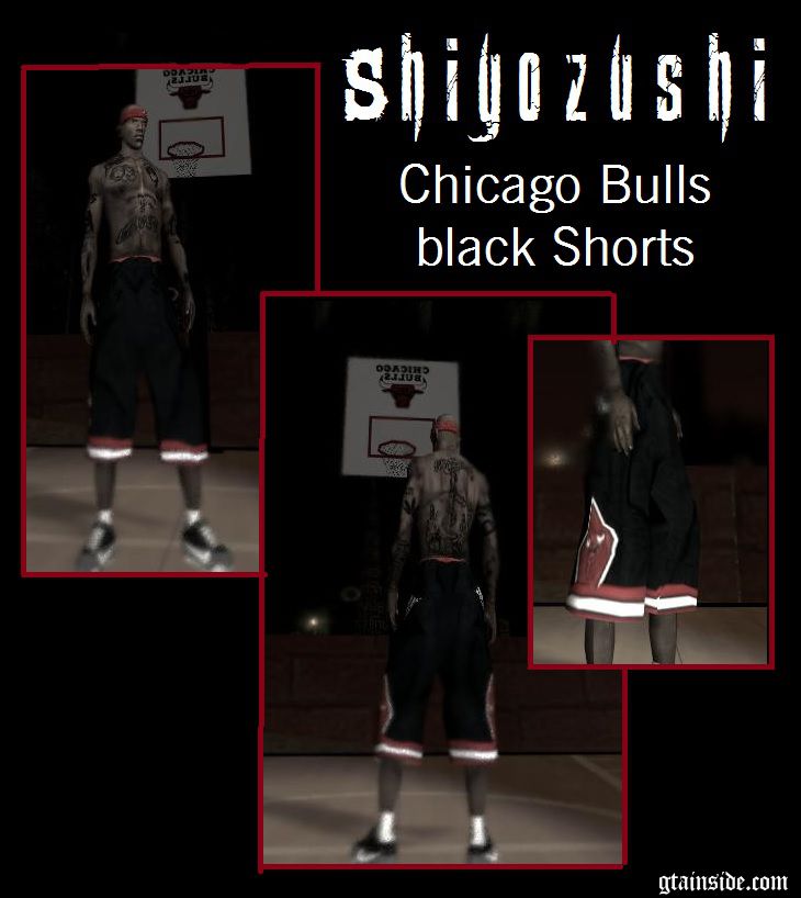 chicago bulls shorts champion